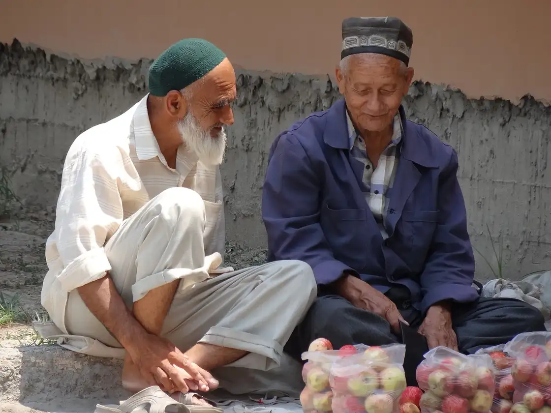 Pensiya yoshi — 63 va 58 yosh, minimal staj — 15 yil: pensiya islohoti toʻgʻrisidagi farmon loyihasi muhokamaga qoʻyildi
